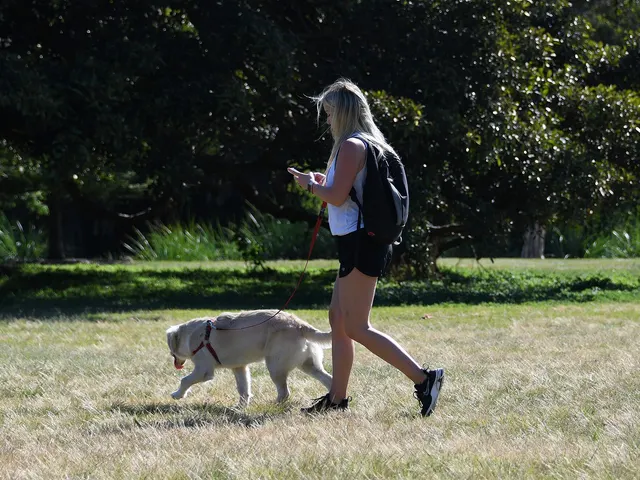 Une femme promène son chien dans un parc